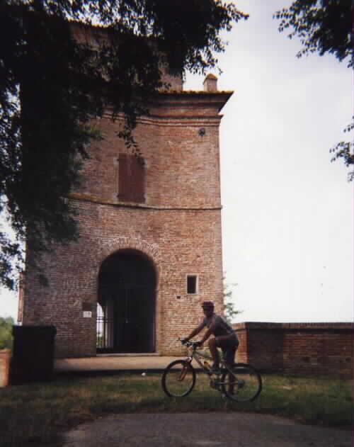 torre dell' abate goro bosco mesola